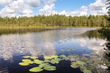 Gölün karşı banka.