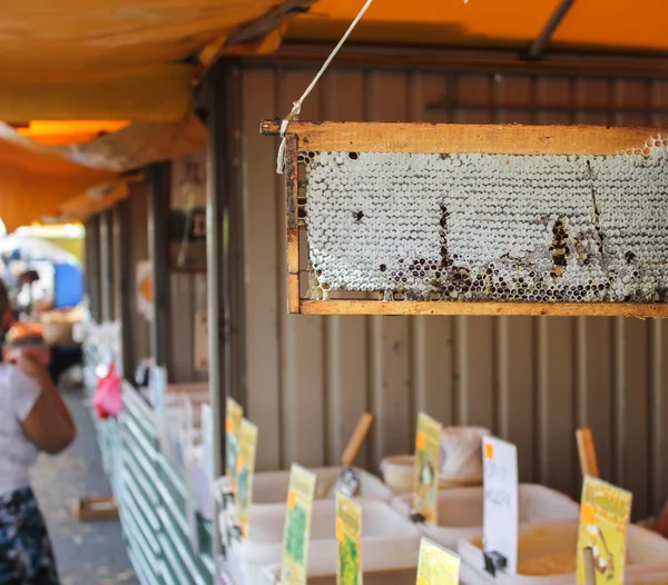 Telaio con miele a nido d'ape . — Foto Stock