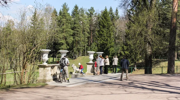 Turisták a parkban. — Stock Fotó