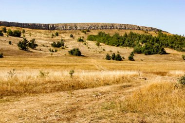 Ai-Petri Dağı 'nın tepesi ve çevresi..