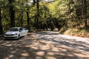 Ai-Petri, Kırım - 2 Eylül 2020. Orman yılanı ve Ai-Peri yolunda ayrılmış orman..