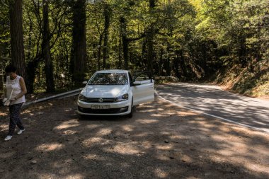 Orman yılanı ve Ai-Peri yolunda ayrılmış orman. Ai-Petri, Kırım - 2 Eylül 2020.