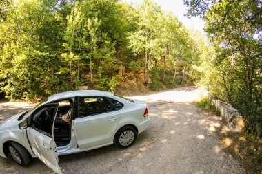 Orman yılanı ve Ai-Peri yolunda ayrılmış orman. Ai-Petri, Kırım - 2 Eylül 2020.