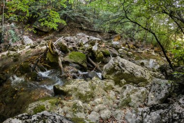 Ai-Peri Dağı 'ndaki Büyük Kırım Kanyonu.