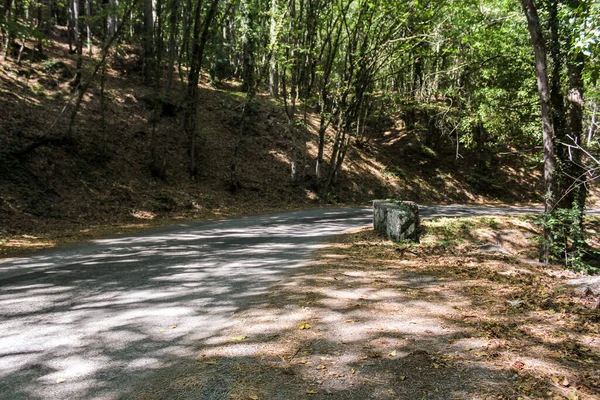 Orman yılanı ve Ai-Peri yolunda ayrılmış orman..