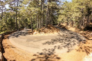 Orman yılanı ve Ai-Peri yolunda ayrılmış orman..