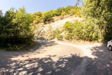 Orman yılanı ve Ai-Peri yolunda ayrılmış orman..