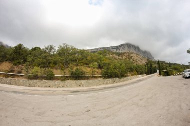 Kırım Güney Sahil Otoyolu Türleri, Yalta Sivastopol.