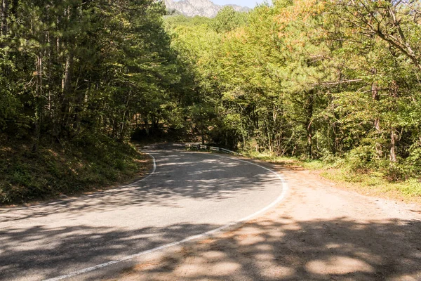 Foresta Serpentina Bosco Riservato Sulla Strada Peri — Foto Stock