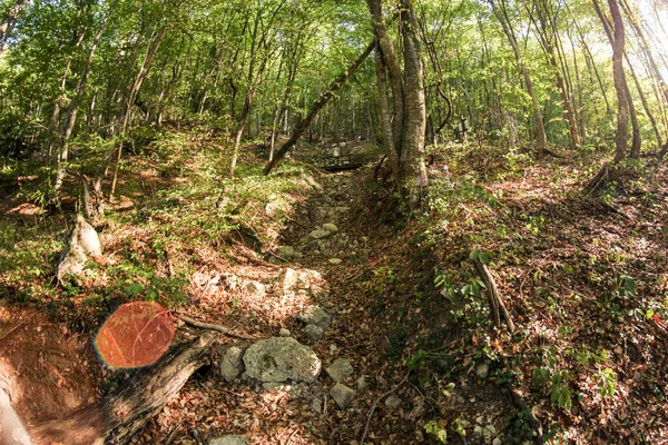 Gran Cañón Crimea Monte Peri — Foto de Stock