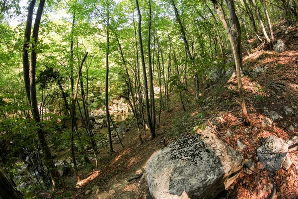 Die Grand Crimean Canyon Auf Dem Berg Peri — Stockfoto