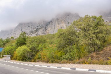 Kırım Güney Sahil Otoyolu Türleri, Yalta Sivastopol.