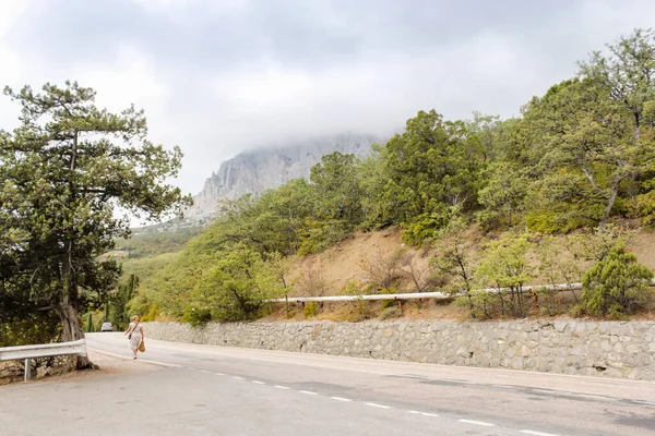 Los Tipos Autopista Costa Del Sur Crimea Yalta Sebastopol — Foto de Stock