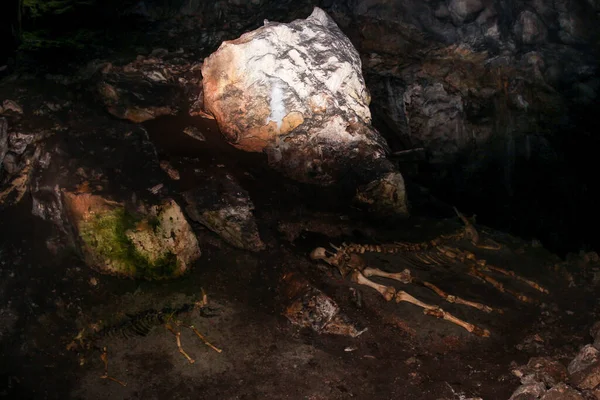 Bezoek Aan Mammoetgrot Het Chatyr Dag Gebergte Van Krim — Stockfoto