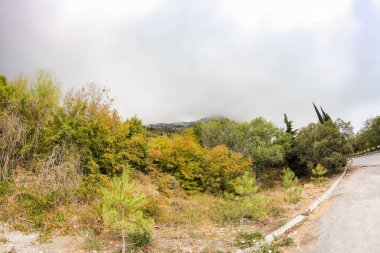 Kırım Güney Sahil Otoyolu Türleri, Yalta Sivastopol.