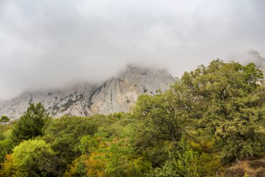 Kırım Güney Sahil Otoyolu Türleri, Yalta Sivastopol.