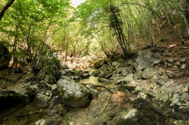 Ai-Peri Dağı 'ndaki Büyük Kırım Kanyonu.