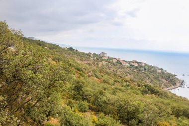 Kırım Güney Sahil Otoyolu Türleri, Yalta Sivastopol.
