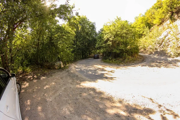 Foresta Serpentina Bosco Riservato Sulla Strada Peri — Foto Stock