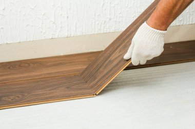 Kaplamaların kenetlenmesi sonunda ölür.