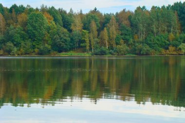 Sonbahar orman yansıyan