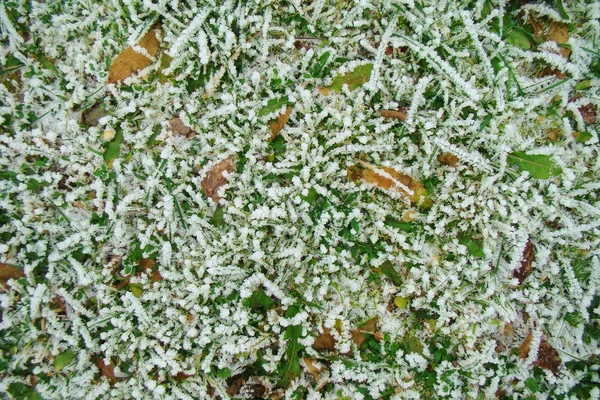 Fondo de otoño — Foto de Stock