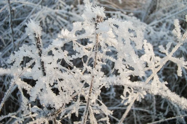 Arquitectura de hielo —  Fotos de Stock