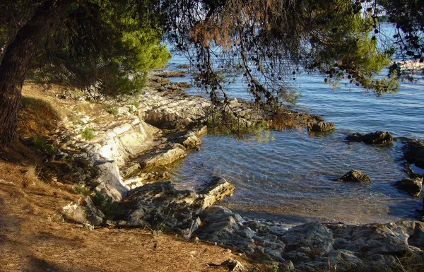 Küçük güzel koy — Stok fotoğraf