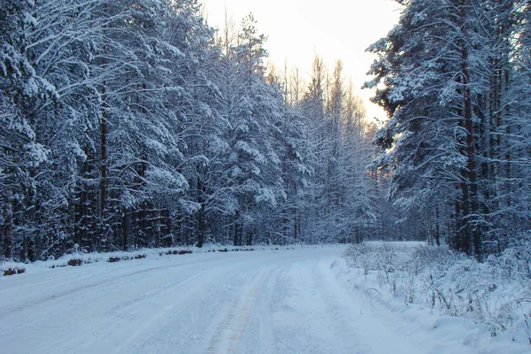 Weiße Winterstraße — Stockfoto