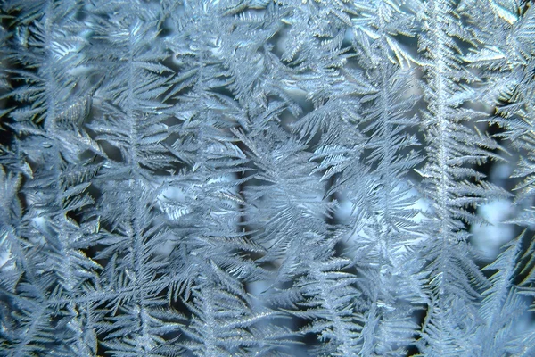 Natürliches Frostmuster — Stockfoto