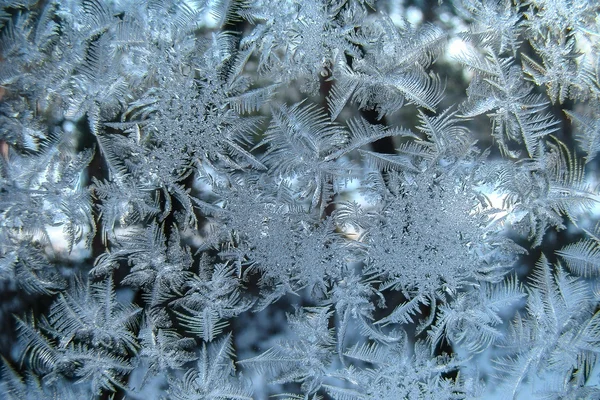 Modello naturale gelido su vetro — Foto Stock