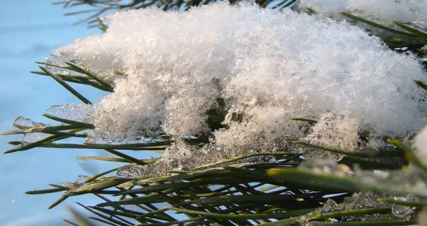 A neve com icicles — Fotografia de Stock