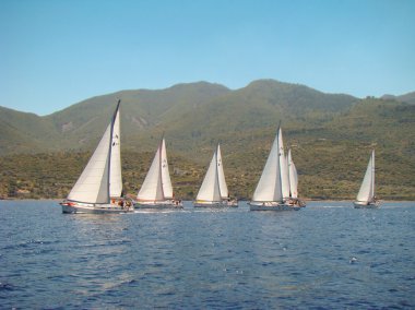 Sahil boyunca yarış