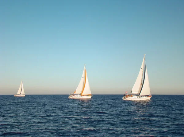Yacht race — Stockfoto