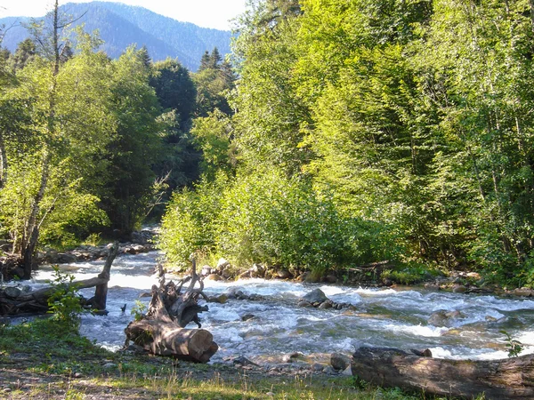 Bordo di un fiume di montagna — Foto Stock