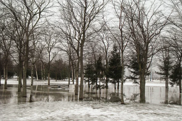 Parque de hielo —  Fotos de Stock