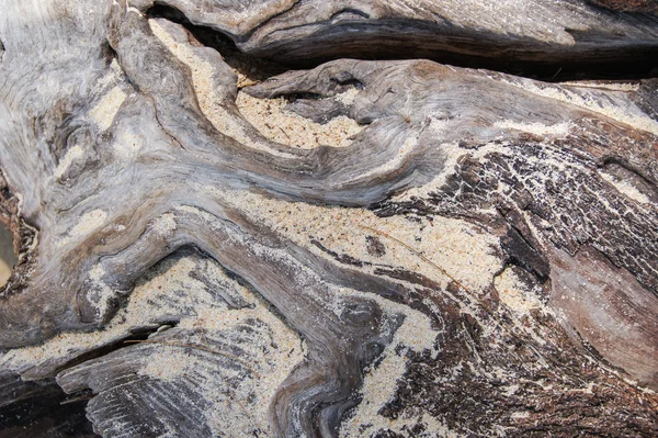 Stuk hout met zand — Stockfoto