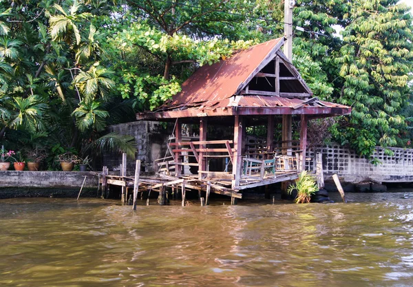 Gammele werpen het water — Stockfoto