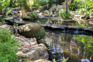 Dere taşları arasında