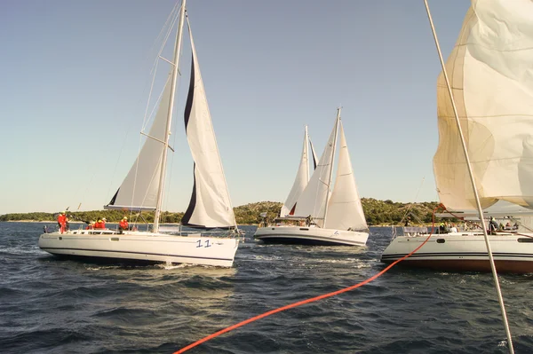 Varen met een grote rol — Stockfoto