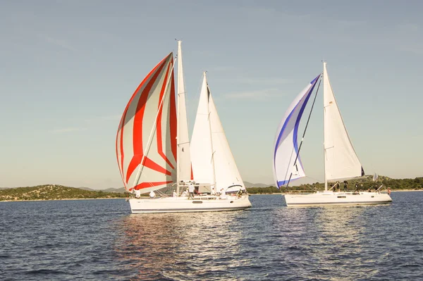 Tre båtar seglar — Stockfoto