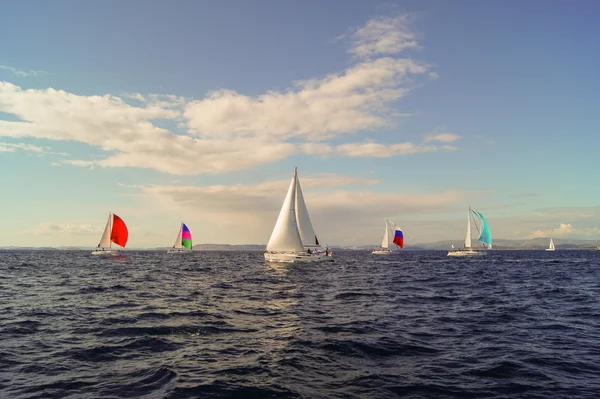 Yacht with colored sail — Stock Photo, Image