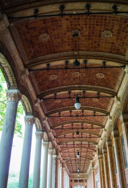 Uzun boylu sütun sayısı