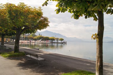 ağaçların gölgesinde