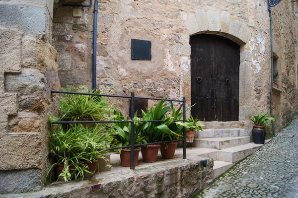 Porta em uma parede de pedra — Fotografia de Stock