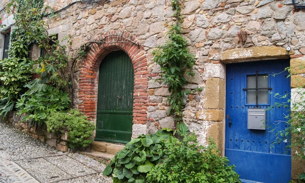 Two doors in the wall — Stock Photo, Image