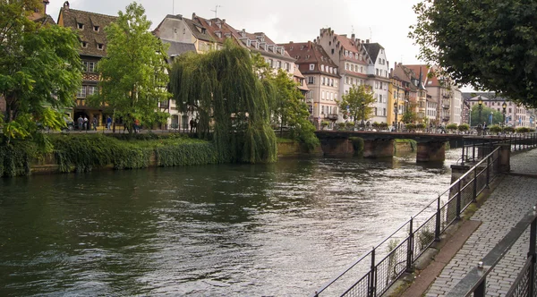 Trees and bridge — Stock Photo, Image