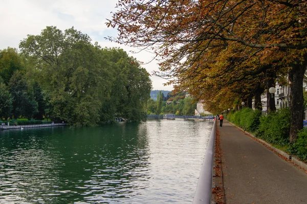 Fiume con foglie cadute gialle — Foto Stock