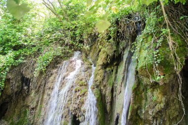 cliff çim ile büyümüş