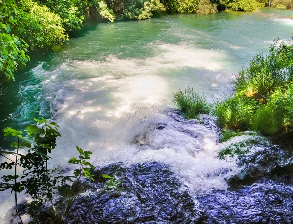 Foam among lush vegetation — Stock Photo, Image